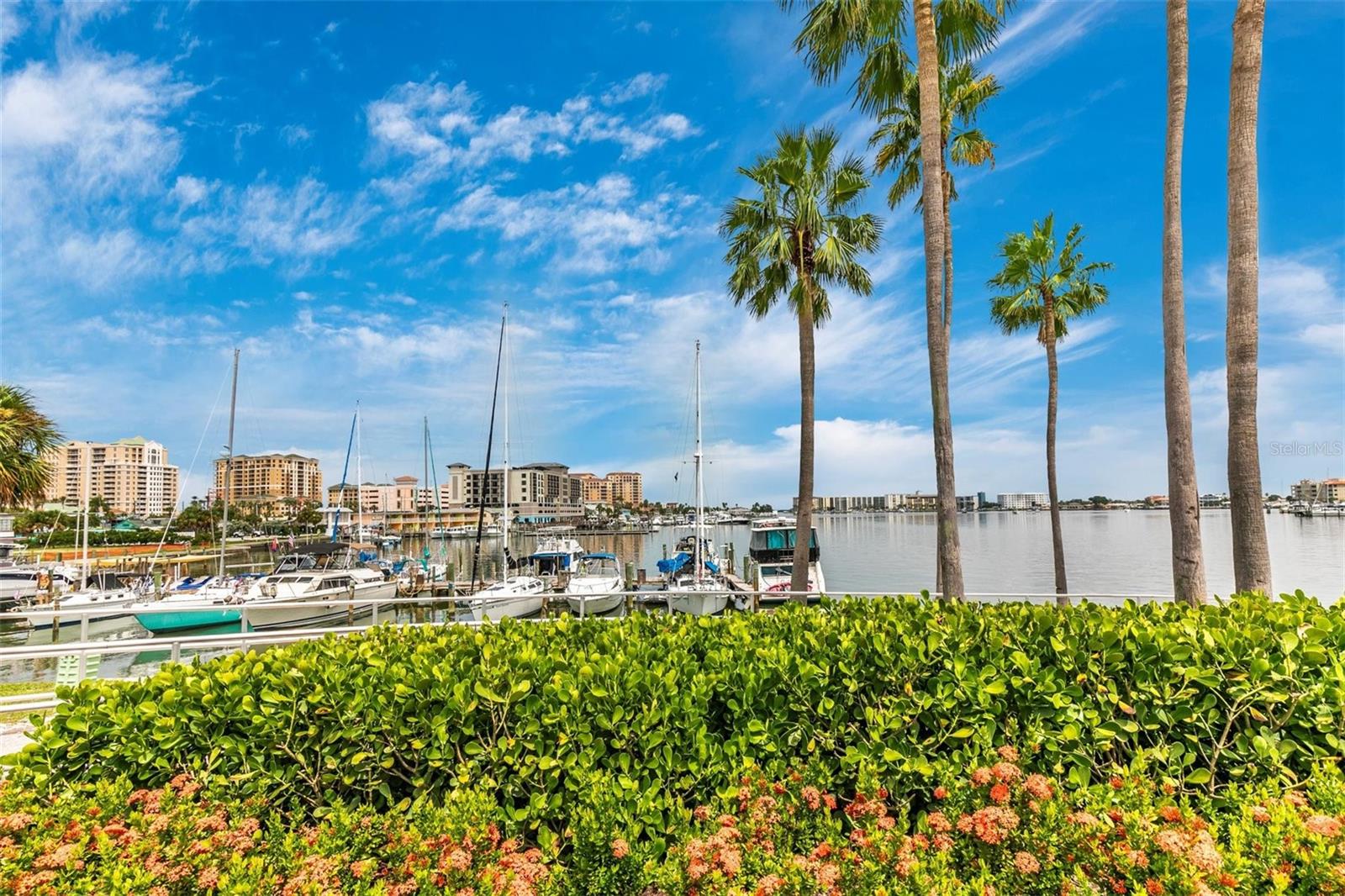 1502 CHANDLER AVE #B, CLEARWATER, FL, 33755