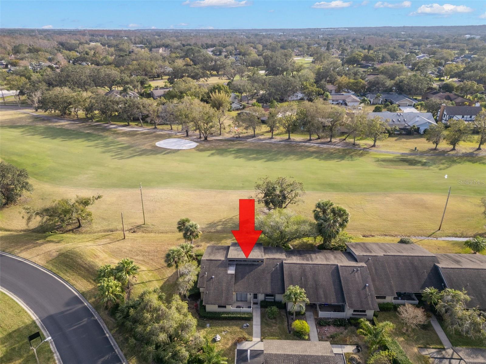 220 DALE PL, OLDSMAR, FL, 34677