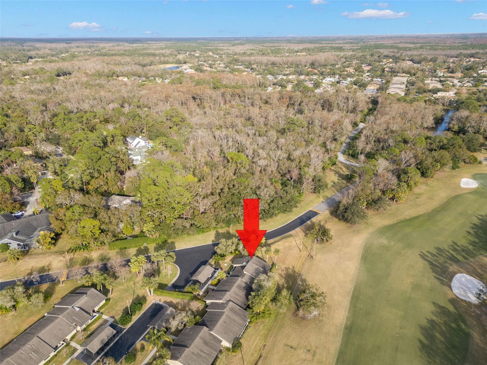 220 DALE PL, OLDSMAR, FL, 34677