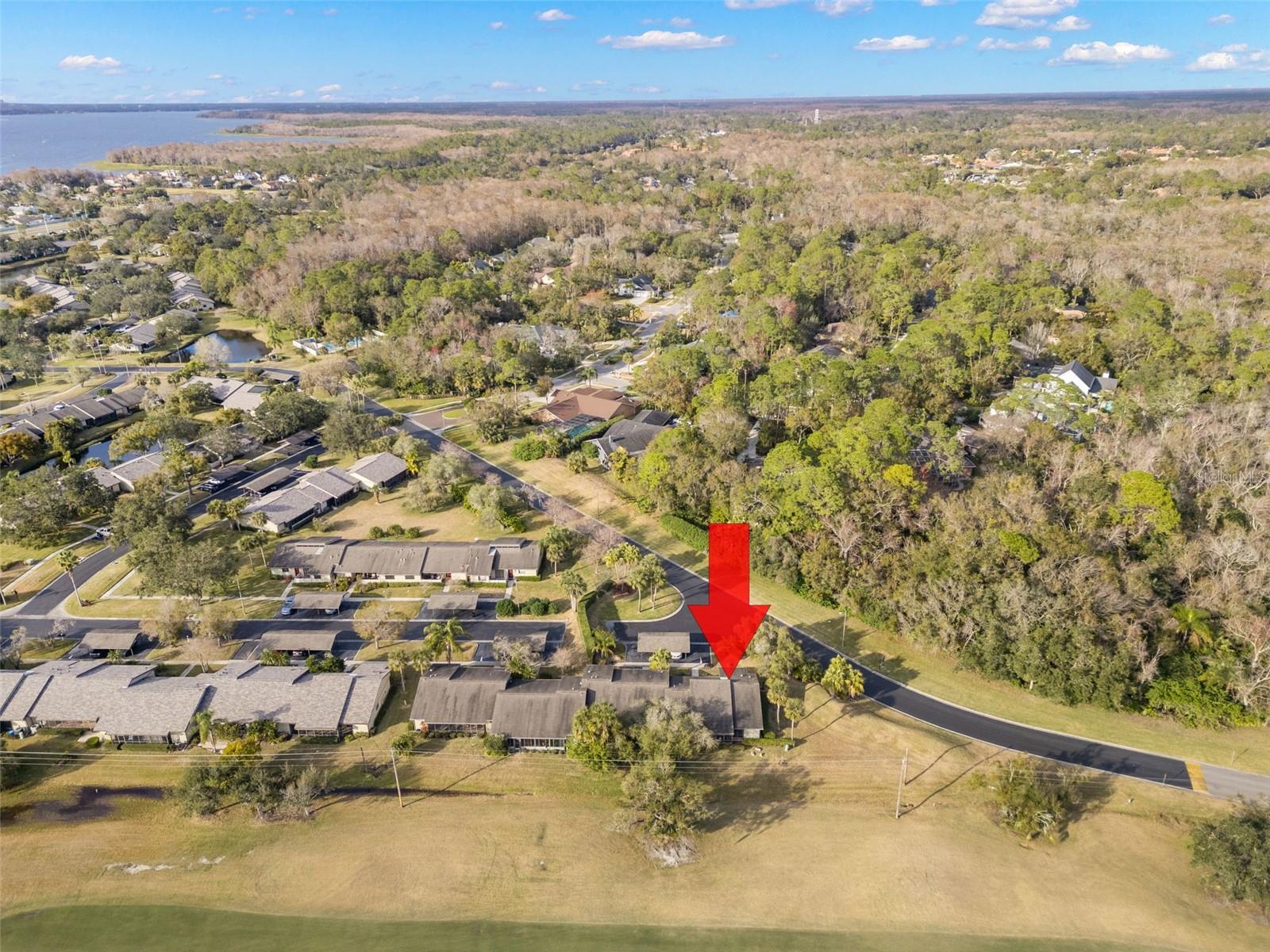 220 DALE PL, OLDSMAR, FL, 34677