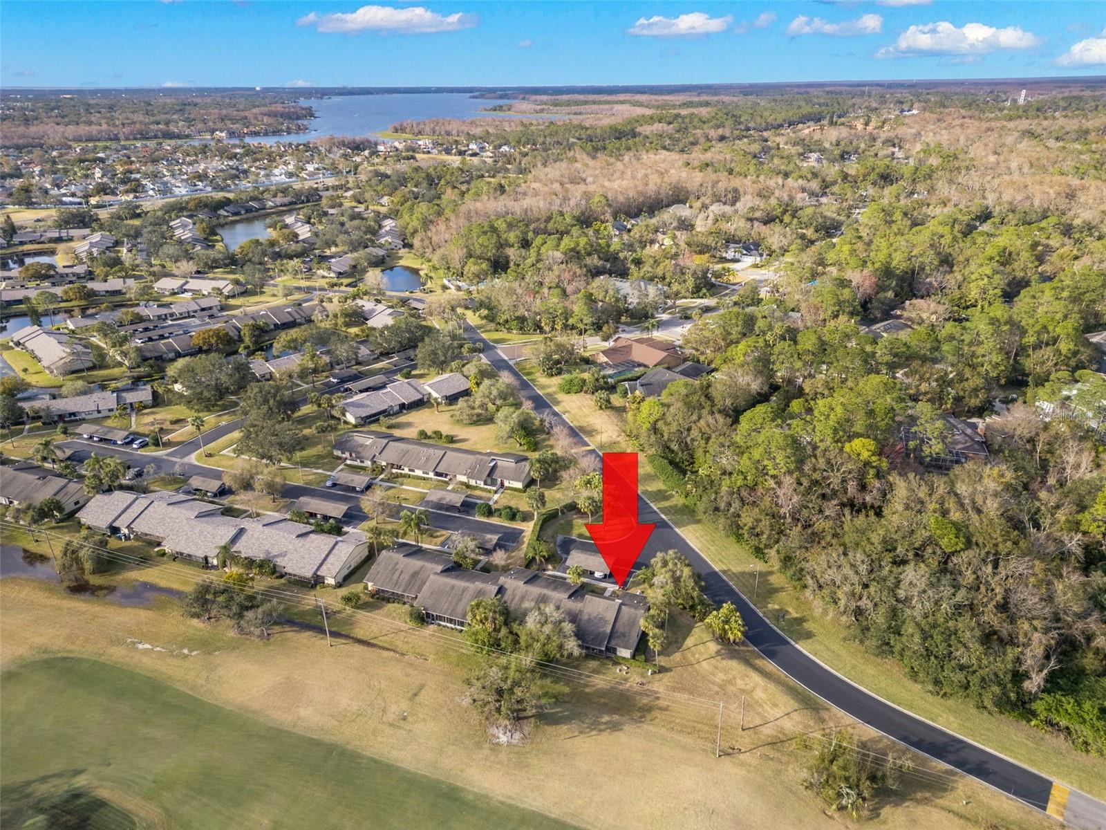 220 DALE PL, OLDSMAR, FL, 34677