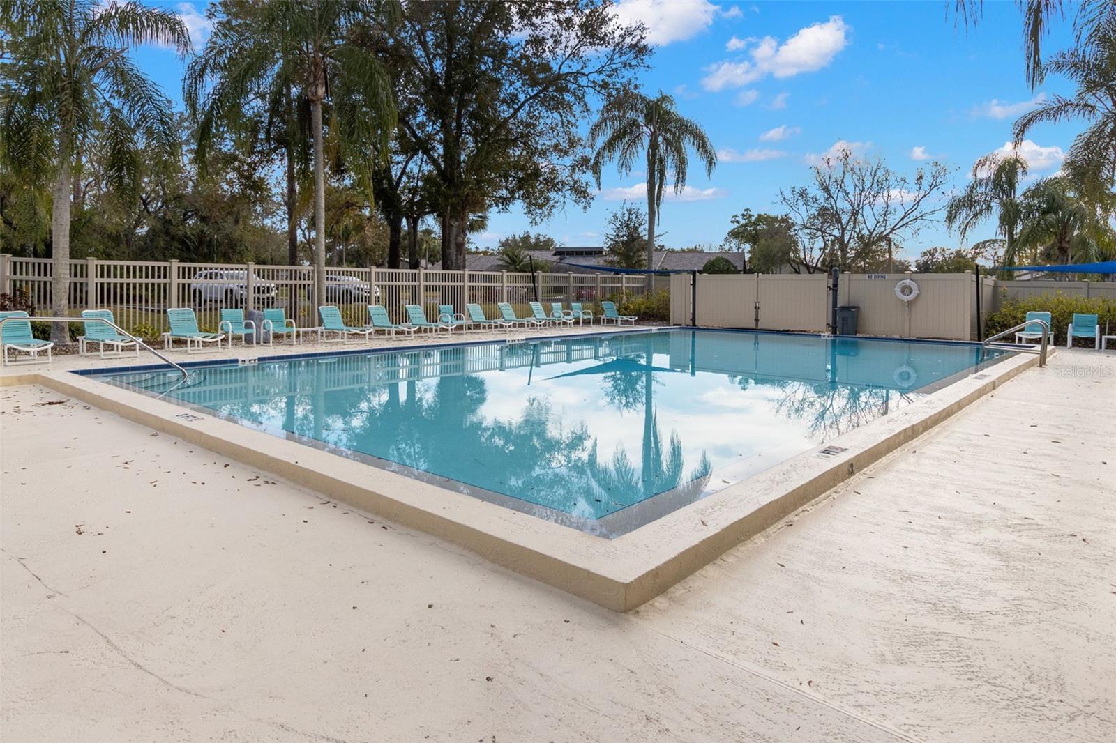 220 DALE PL, OLDSMAR, FL, 34677