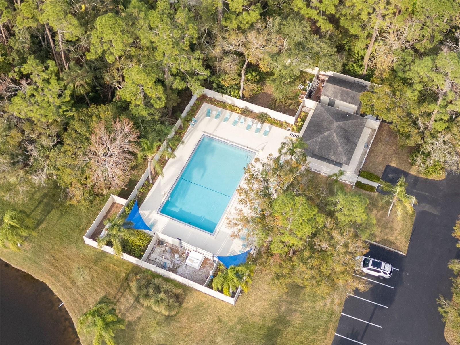220 DALE PL, OLDSMAR, FL, 34677