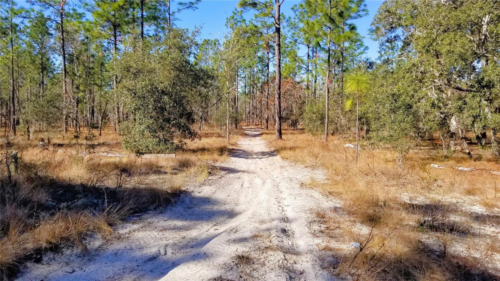 TBD NW AMBERJACK AVE, DUNNELLON, FL, 34431