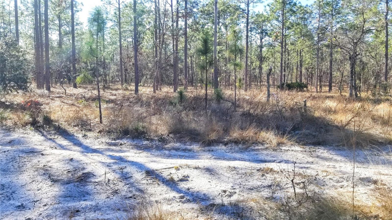 TBD NW AMBERJACK AVE, DUNNELLON, FL, 34431