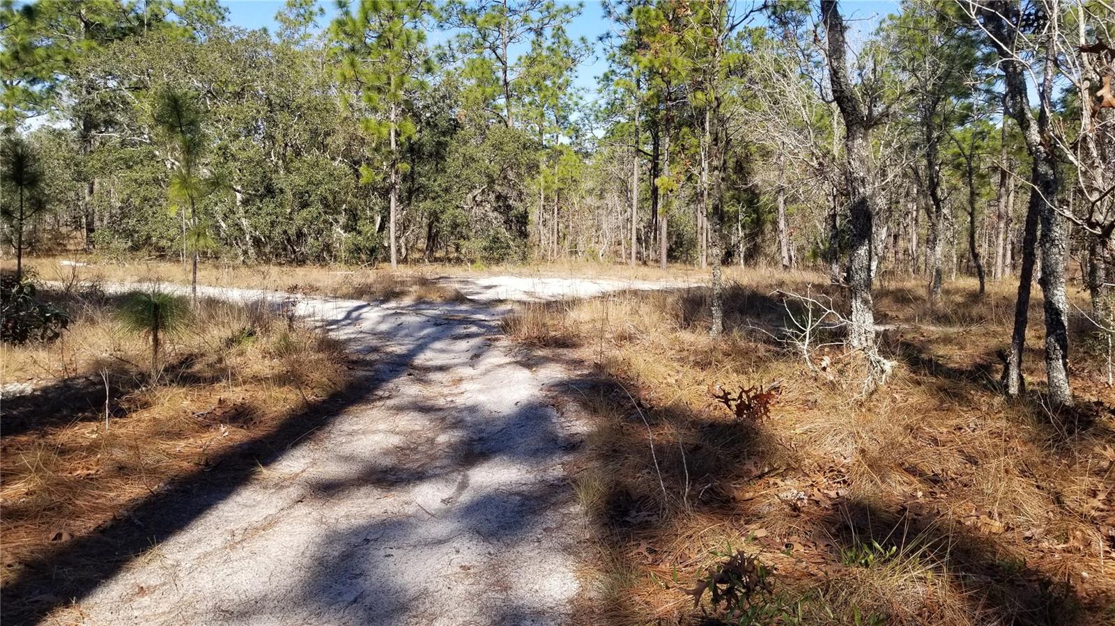 TBD NW AMBERJACK AVE, DUNNELLON, FL, 34431