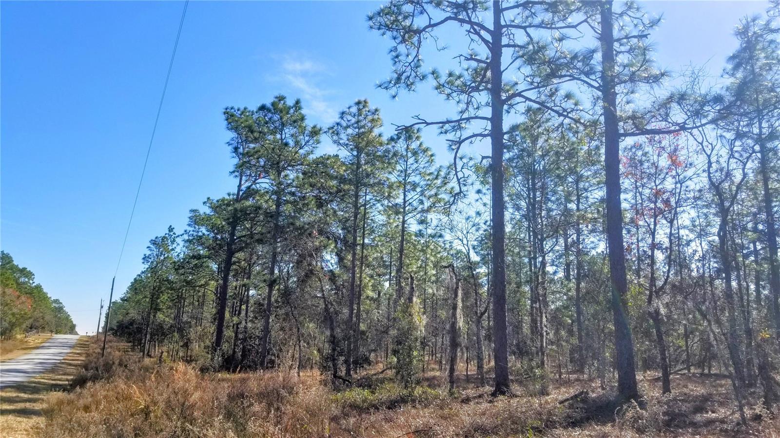 TBD NW AMBERJACK AVE, DUNNELLON, FL, 34431