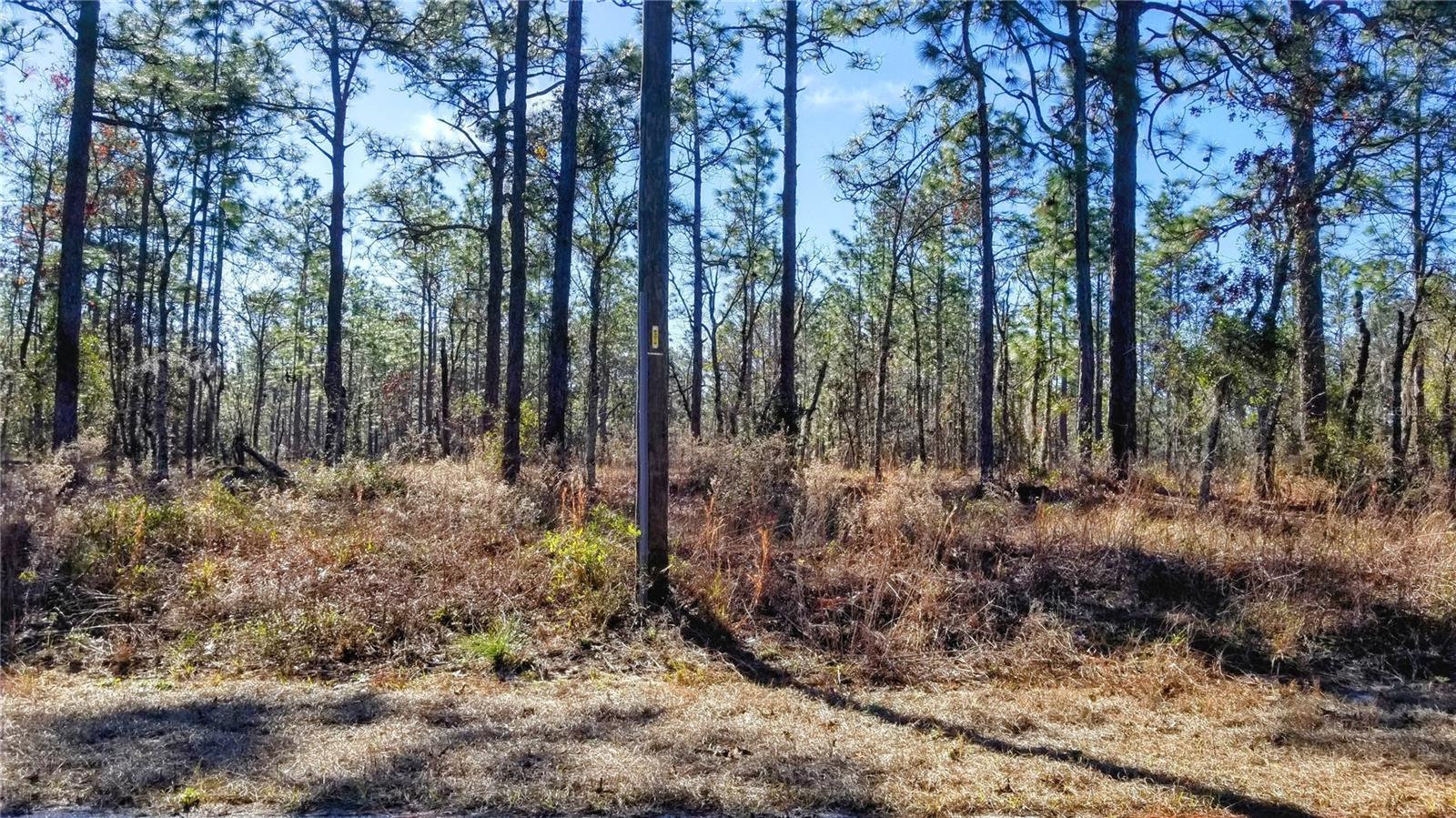 TBD NW AMBERJACK AVE, DUNNELLON, FL, 34431