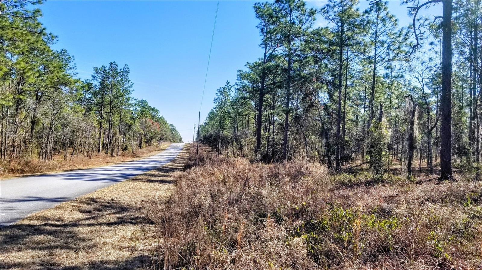 TBD NW AMBERJACK AVE, DUNNELLON, FL, 34431