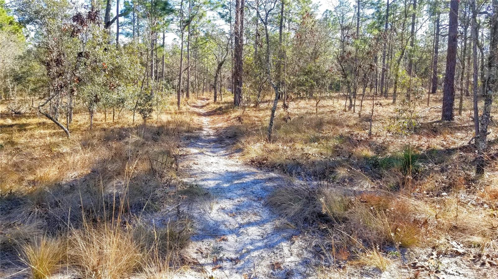 TBD NW AMBERJACK AVE, DUNNELLON, FL, 34431