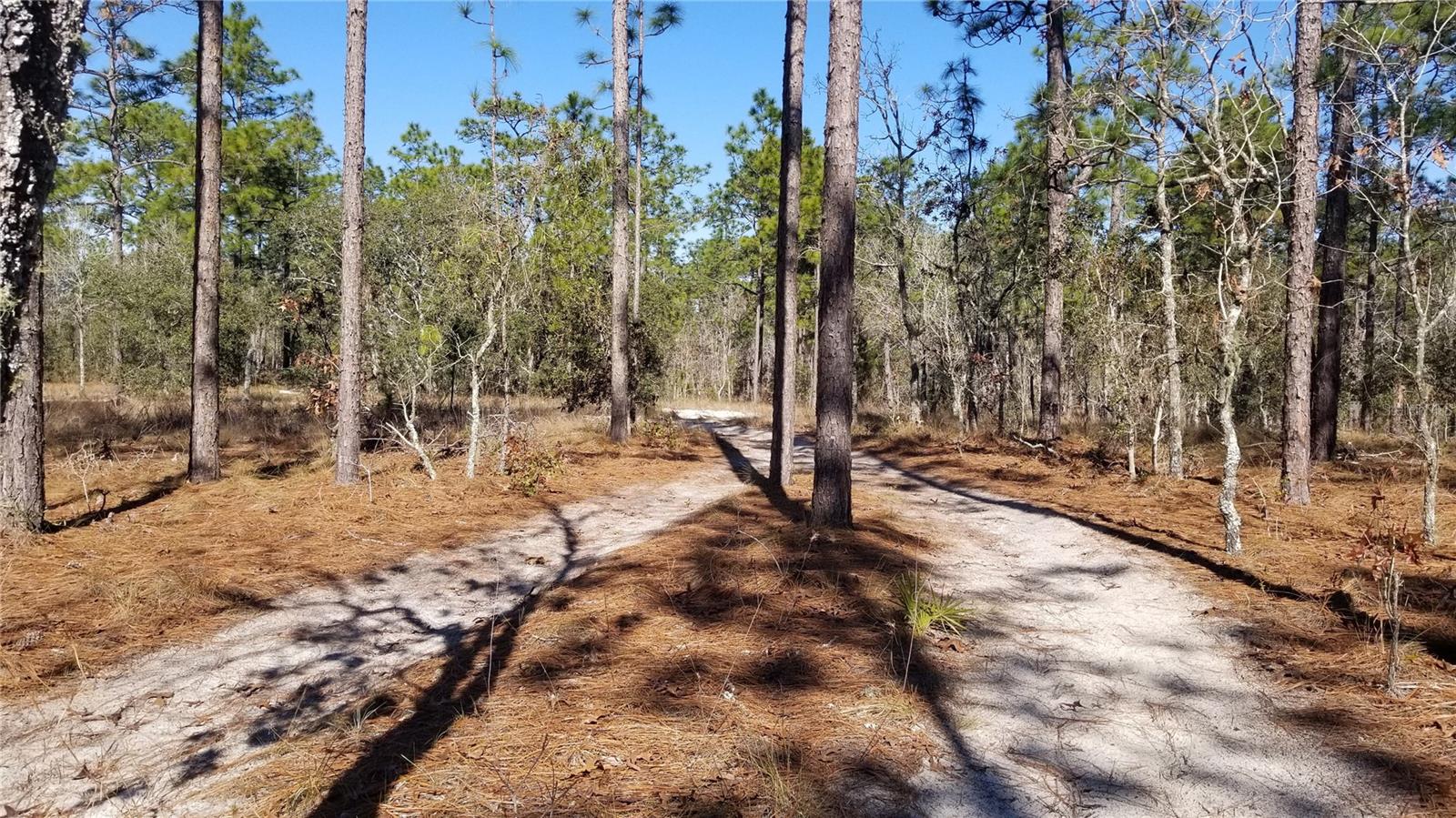 TBD NW AMBERJACK AVE, DUNNELLON, FL, 34431