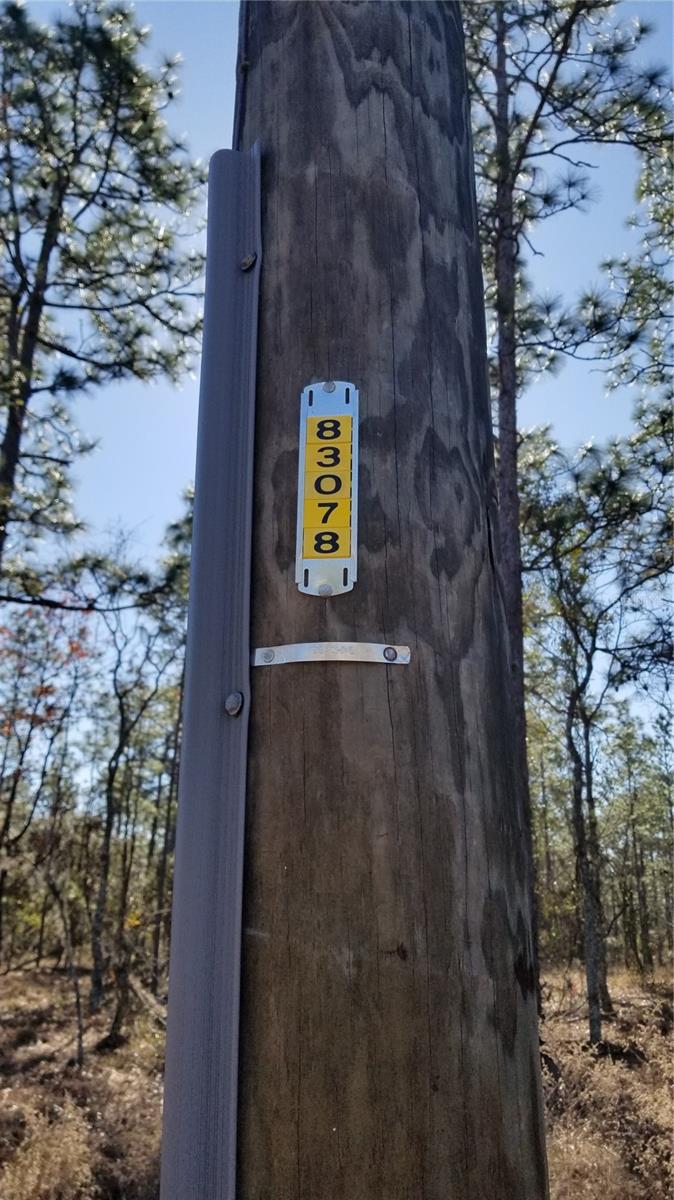 TBD NW AMBERJACK AVE, DUNNELLON, FL, 34431