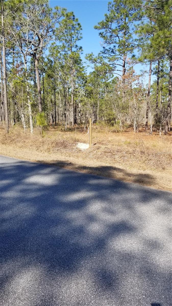 TBD NW AMBERJACK AVE, DUNNELLON, FL, 34431