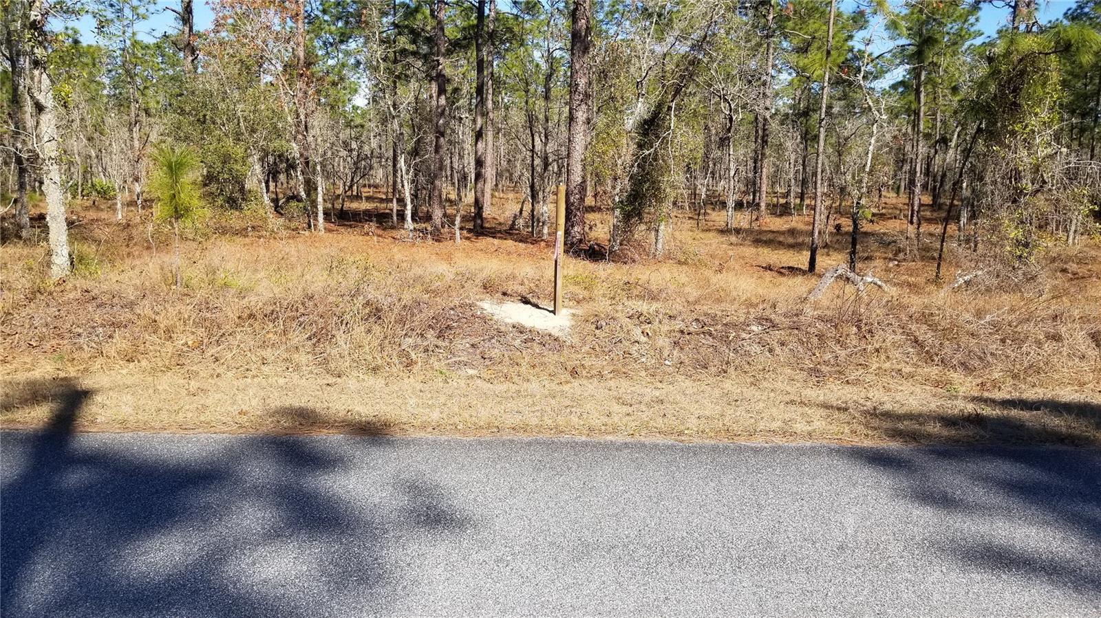 TBD NW AMBERJACK AVE, DUNNELLON, FL, 34431