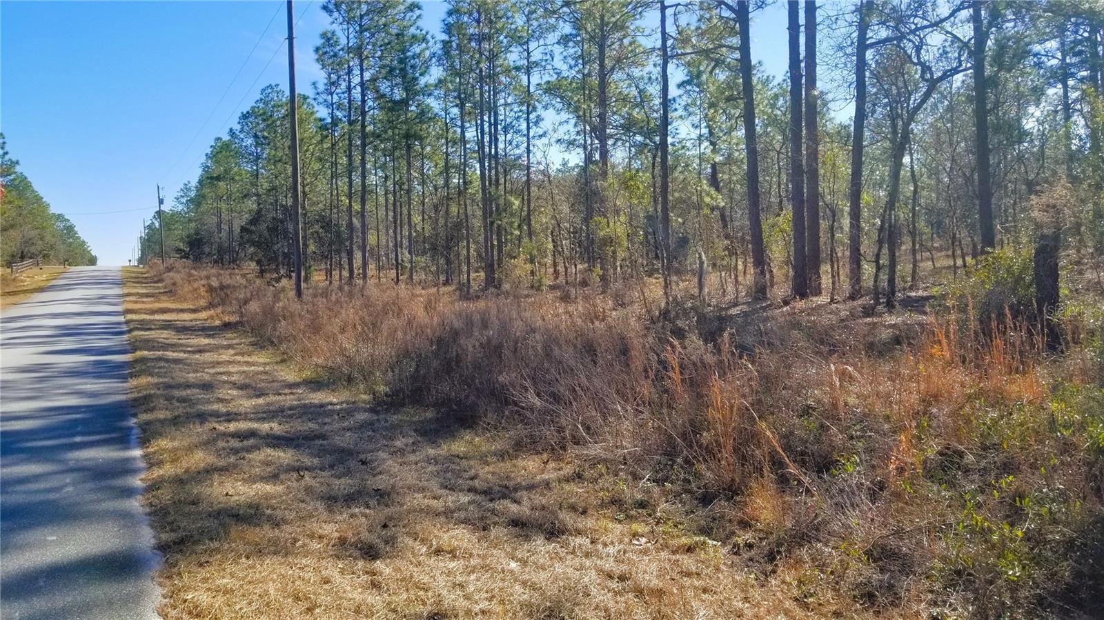 TBD NW AMBERJACK AVE, DUNNELLON, FL, 34431