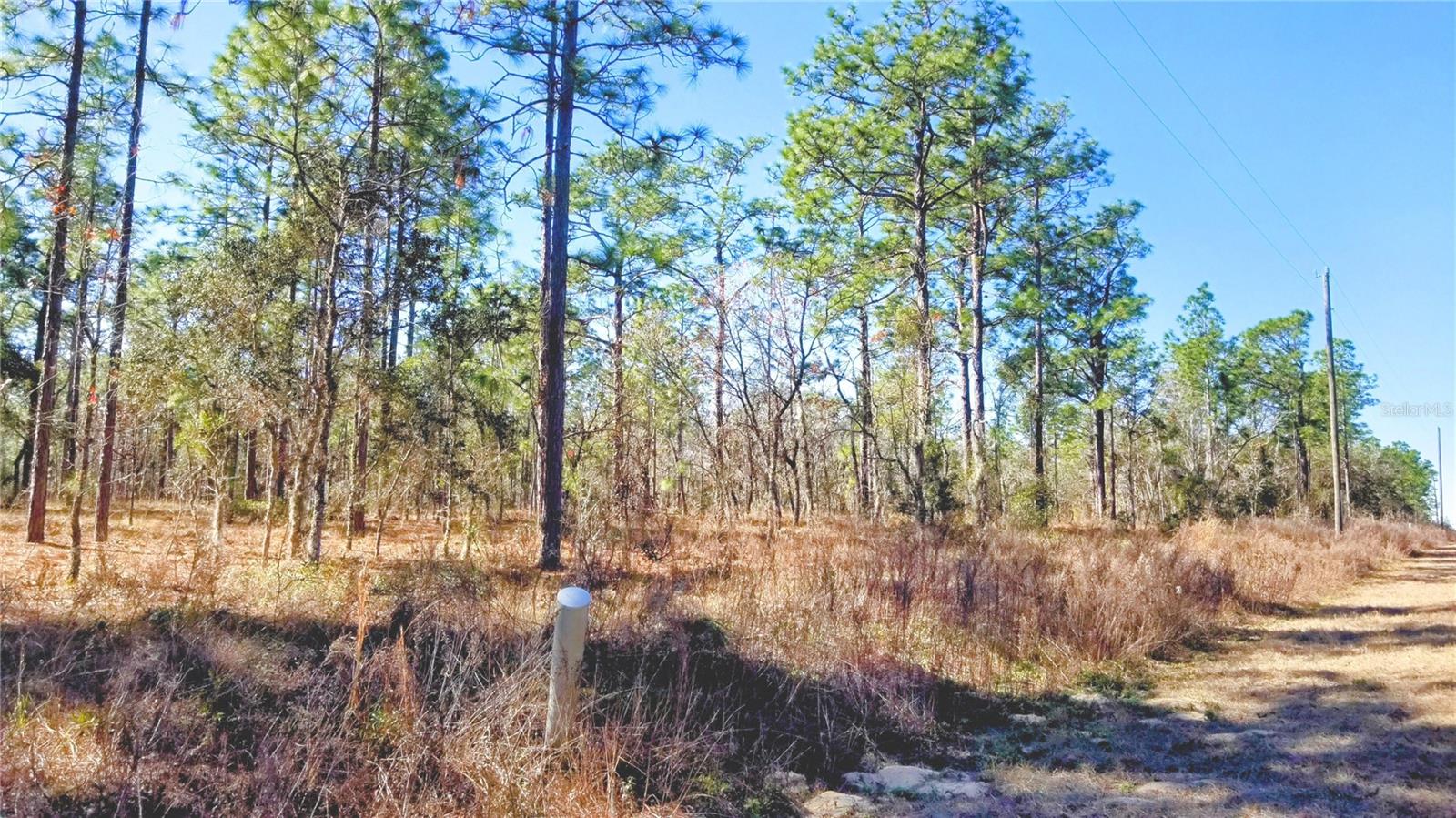 TBD NW AMBERJACK AVE, DUNNELLON, FL, 34431