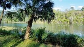 TBD NW AMBERJACK AVE, DUNNELLON, FL, 34431