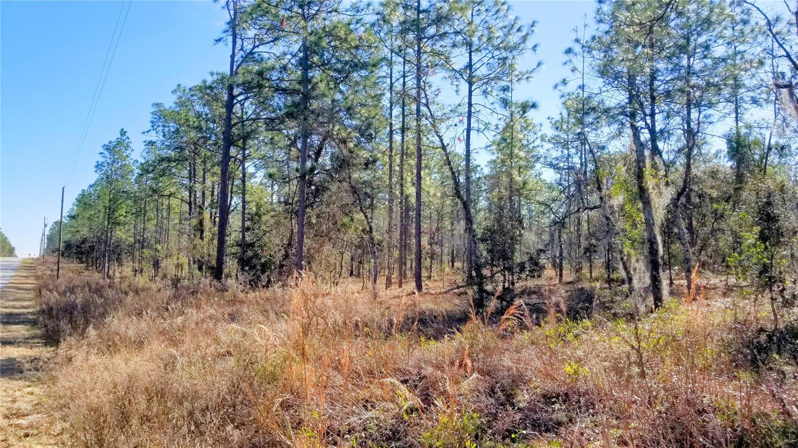 TBD NW AMBERJACK AVE, DUNNELLON, FL, 34431