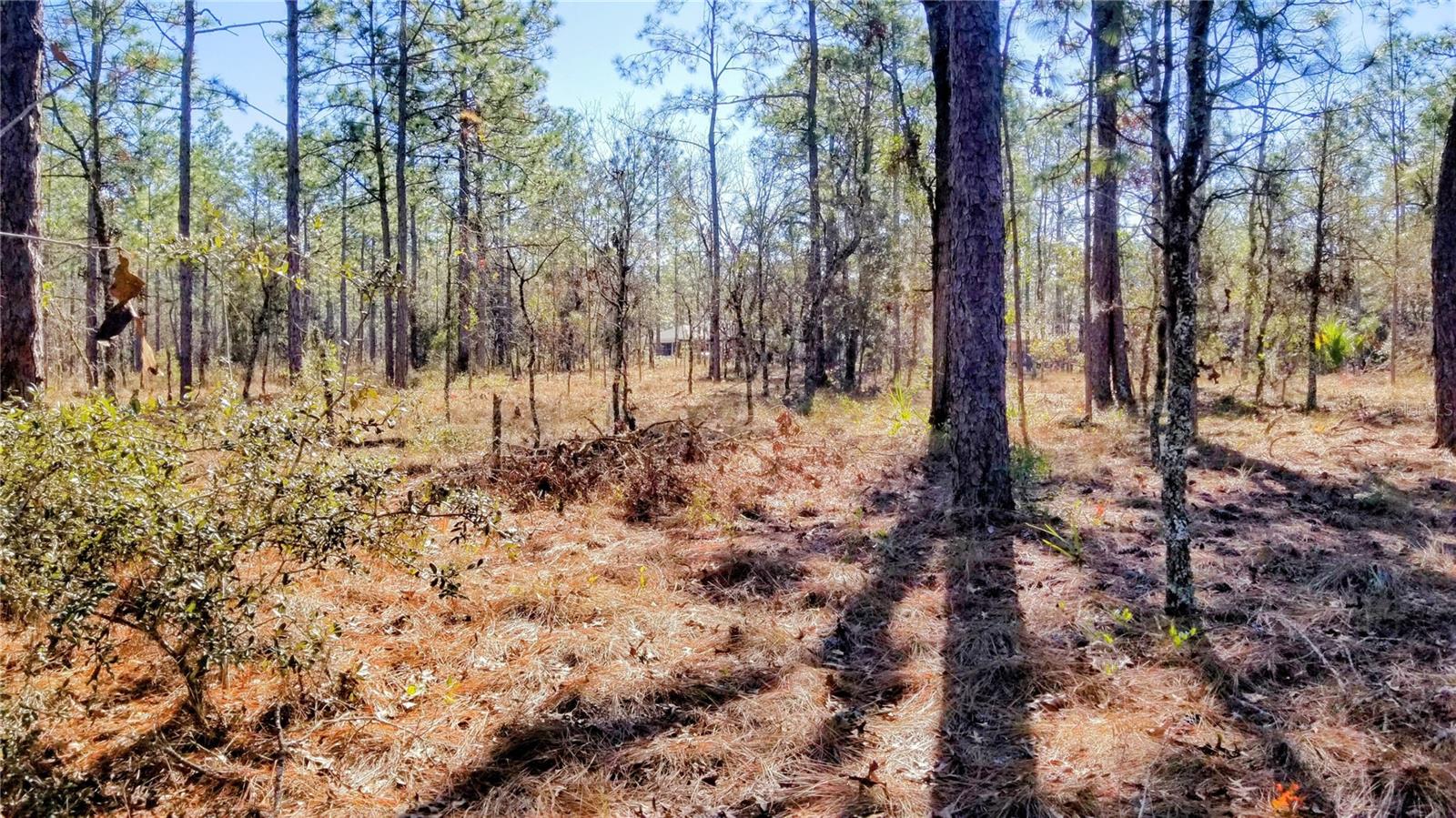 TBD NW AMBERJACK AVE, DUNNELLON, FL, 34431