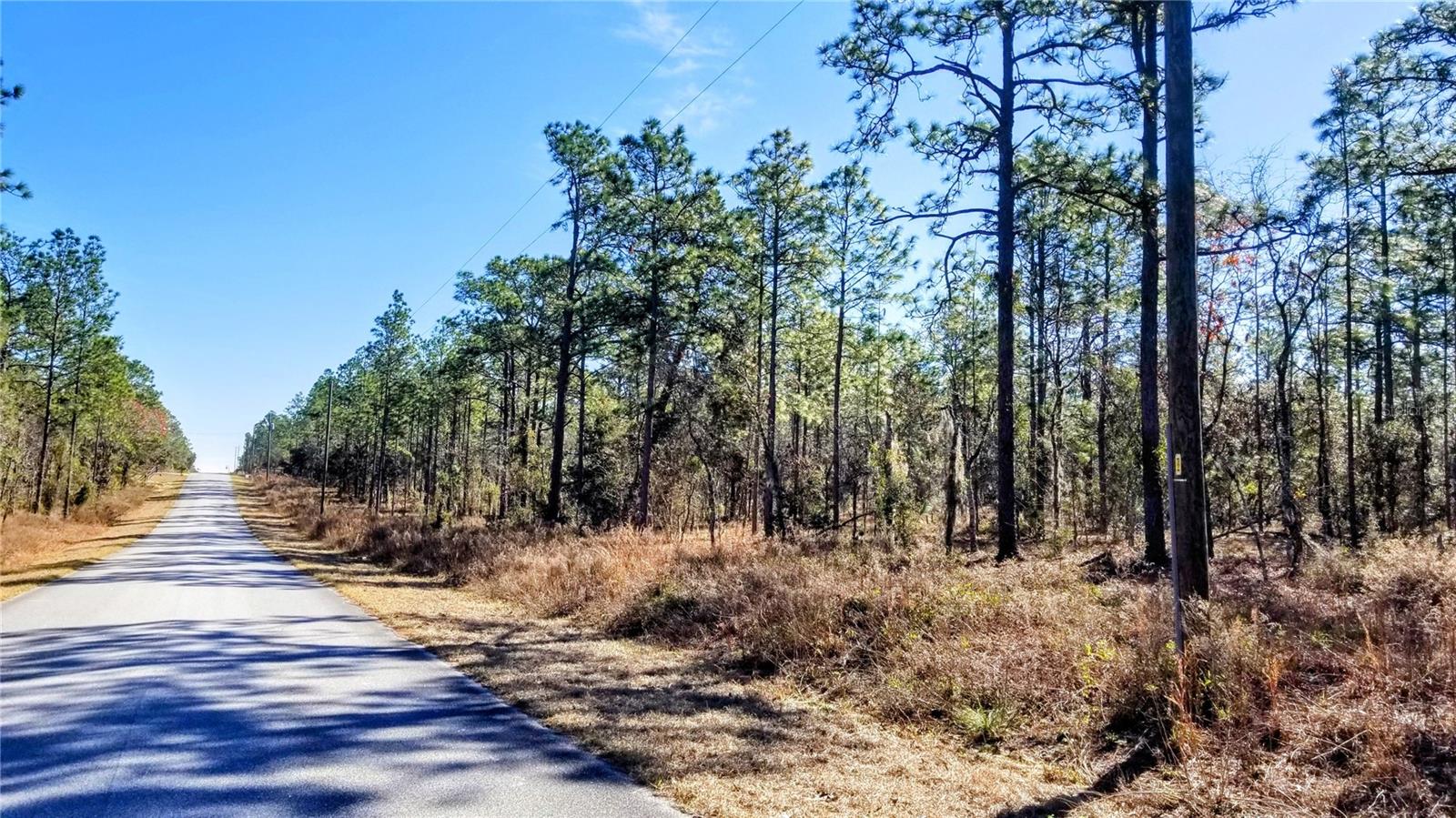 TBD NW AMBERJACK AVE, DUNNELLON, FL, 34431