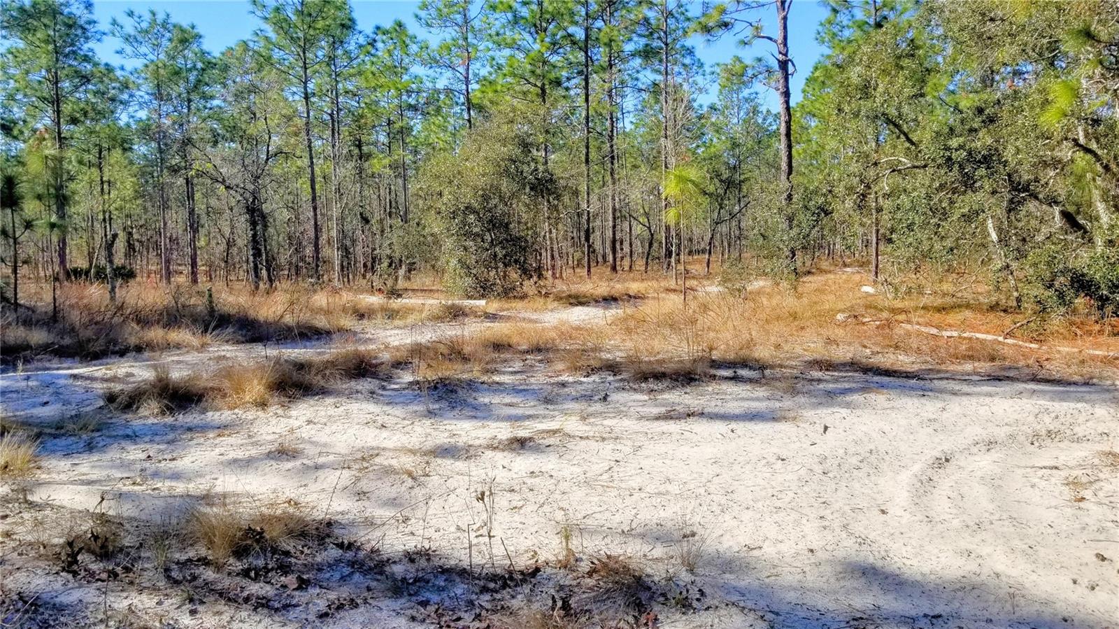 TBD NW AMBERJACK AVE, DUNNELLON, FL, 34431