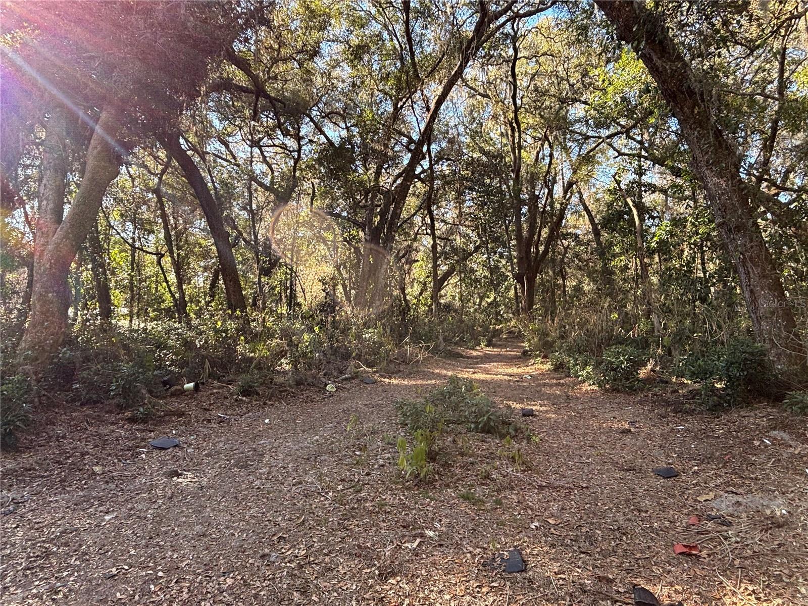 317 SE 135TH TER, GAINESVILLE, FL, 32641