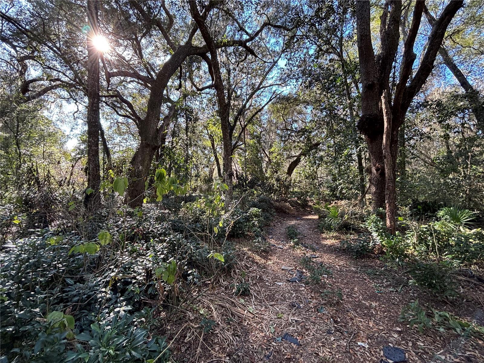 317 SE 135TH TER, GAINESVILLE, FL, 32641