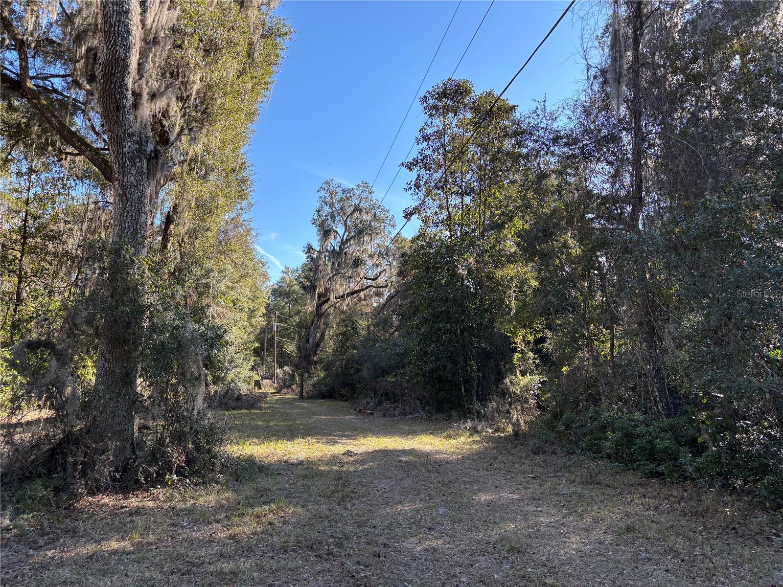 317 SE 135TH TER, GAINESVILLE, FL, 32641