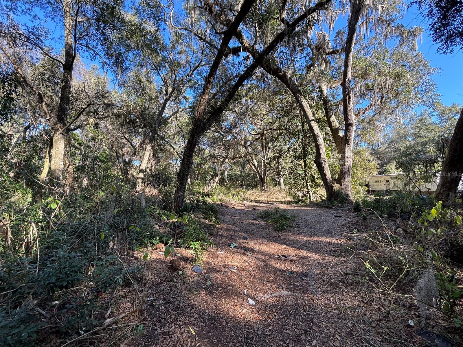 317 SE 135TH TER, GAINESVILLE, FL, 32641