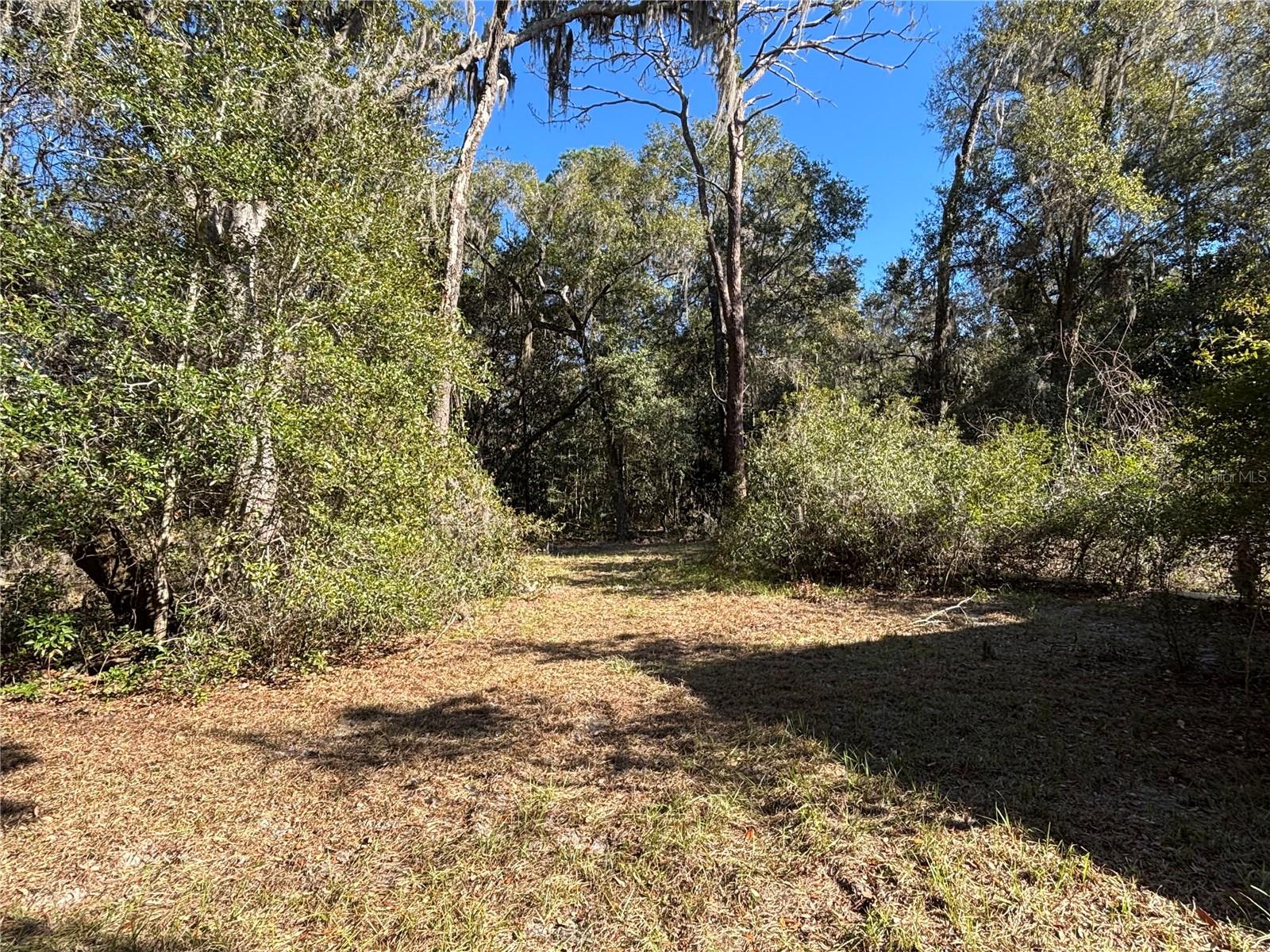 317 SE 135TH TER, GAINESVILLE, FL, 32641