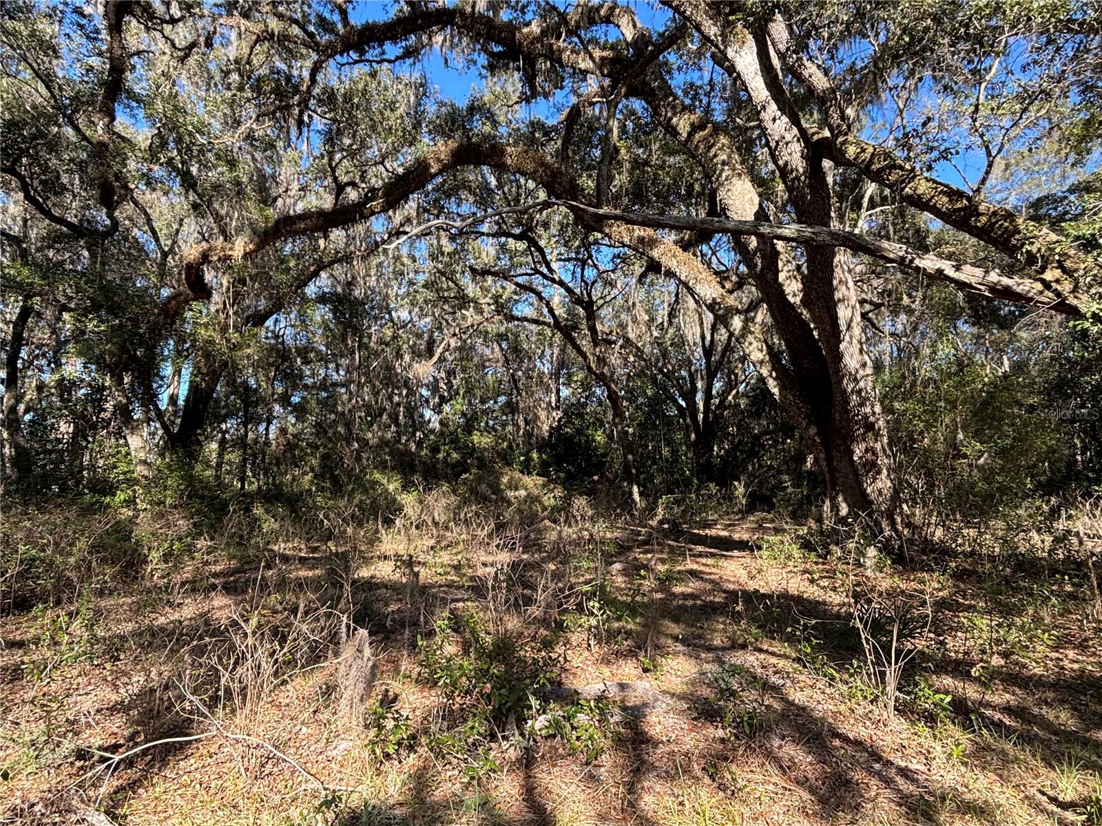 317 SE 135TH TER, GAINESVILLE, FL, 32641