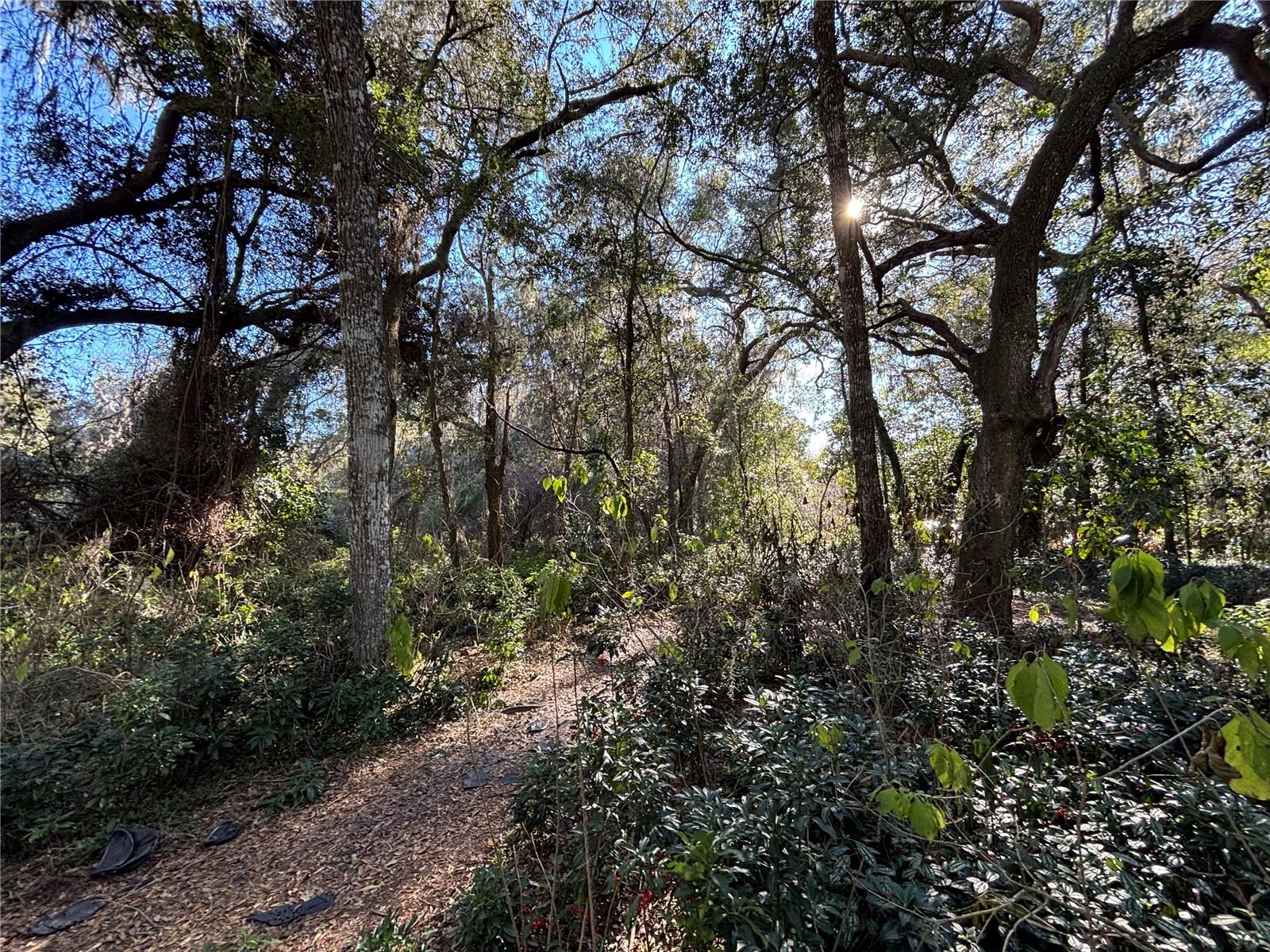 317 SE 135TH TER, GAINESVILLE, FL, 32641