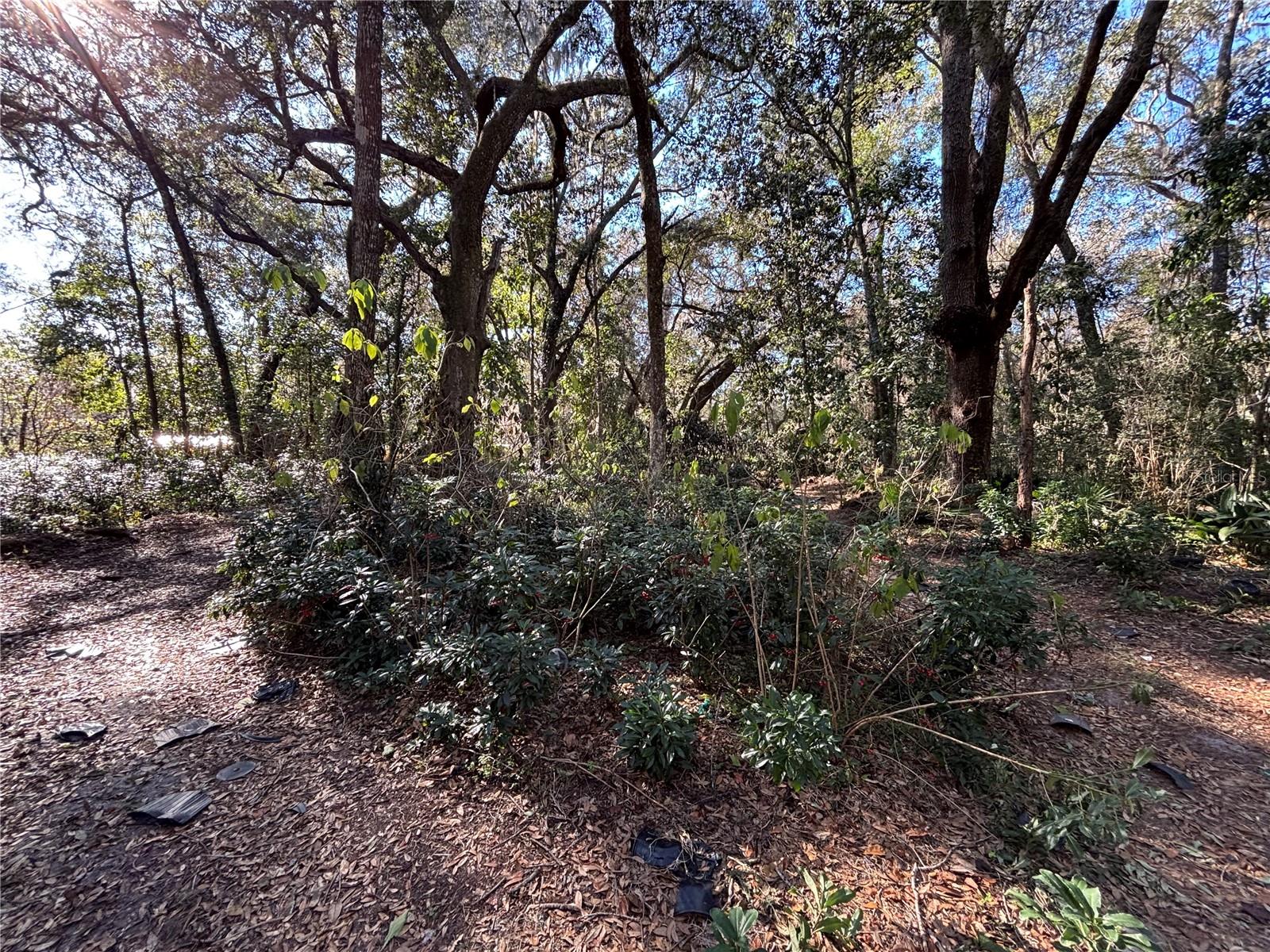 317 SE 135TH TER, GAINESVILLE, FL, 32641