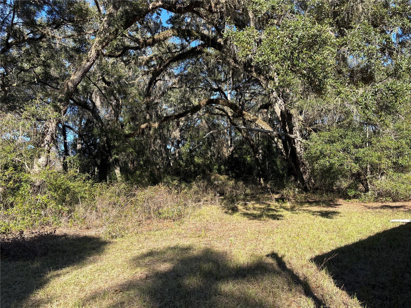 317 SE 135TH TER, GAINESVILLE, FL, 32641