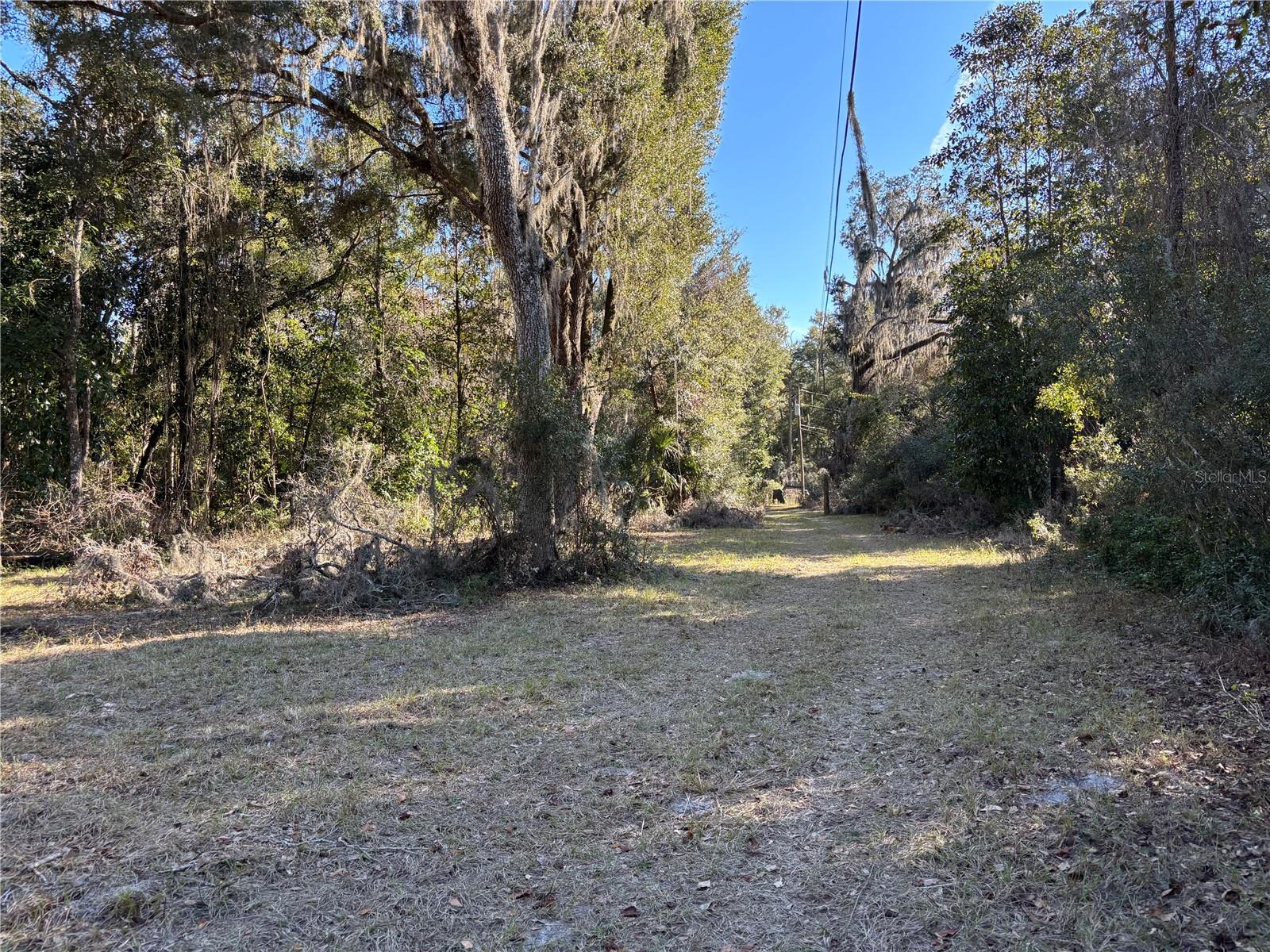 317 SE 135TH TER, GAINESVILLE, FL, 32641