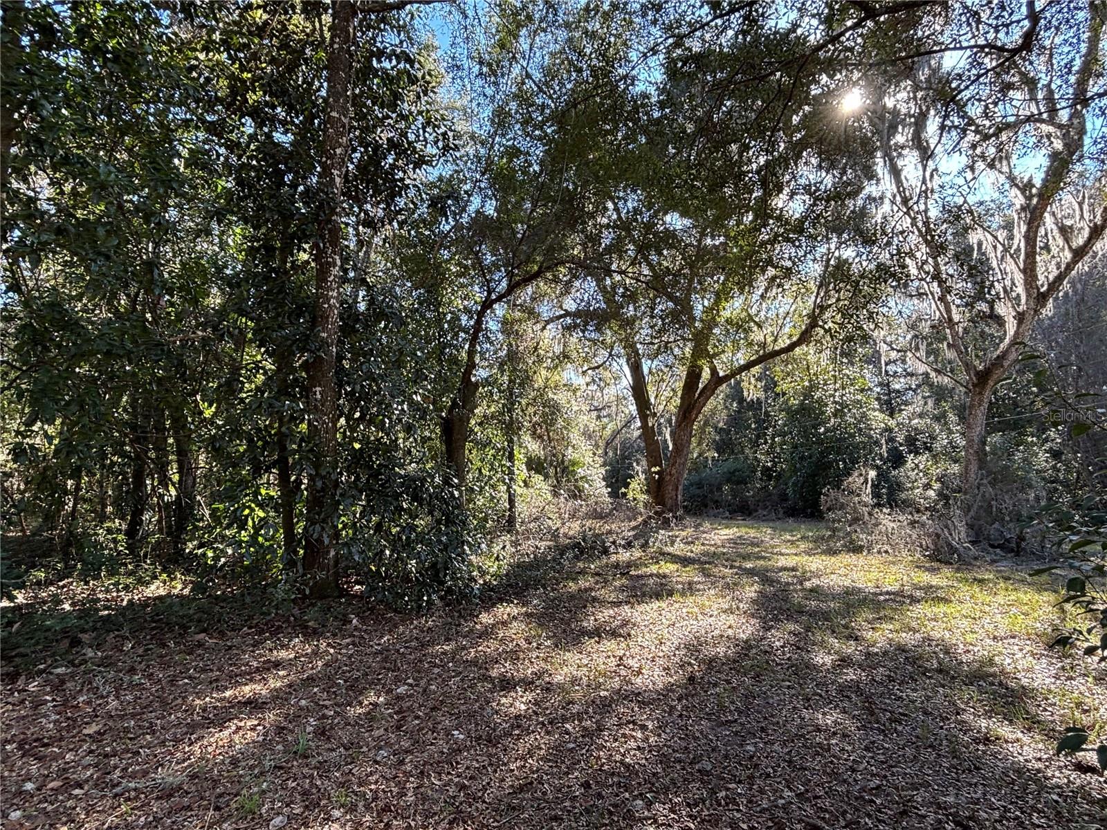 317 SE 135TH TER, GAINESVILLE, FL, 32641