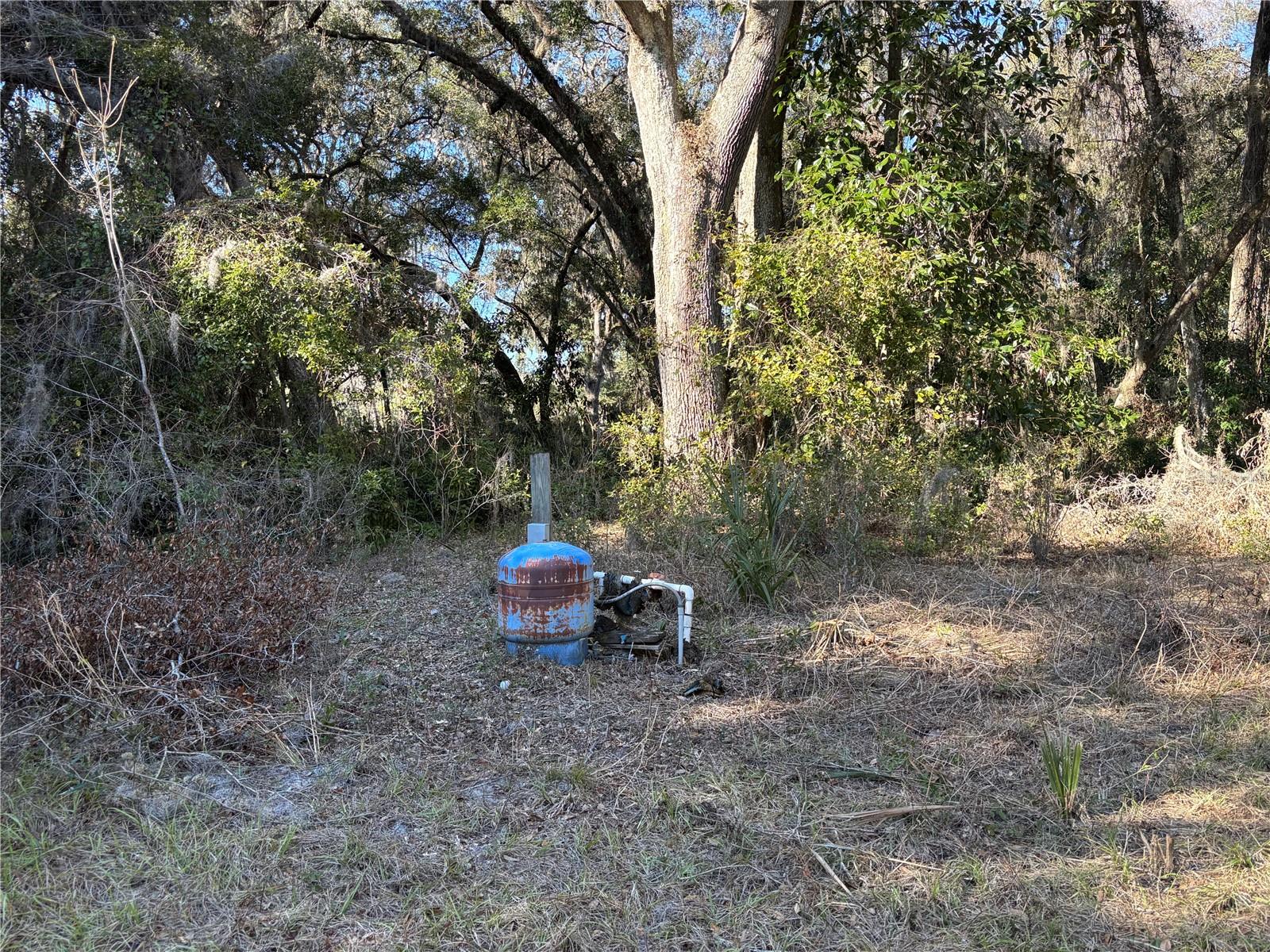 317 SE 135TH TER, GAINESVILLE, FL, 32641