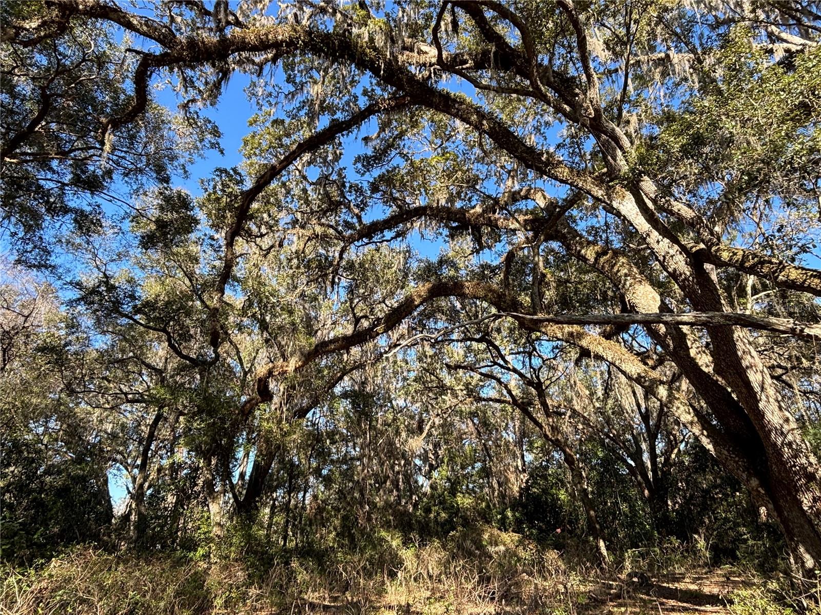 317 SE 135TH TER, GAINESVILLE, FL, 32641