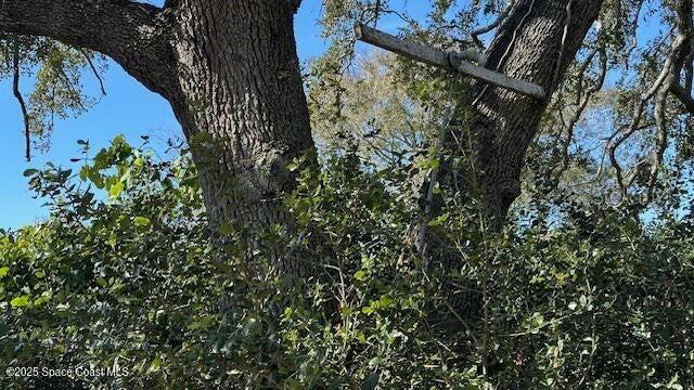 237 LINCOLN RD, COCOA, FL, 32926