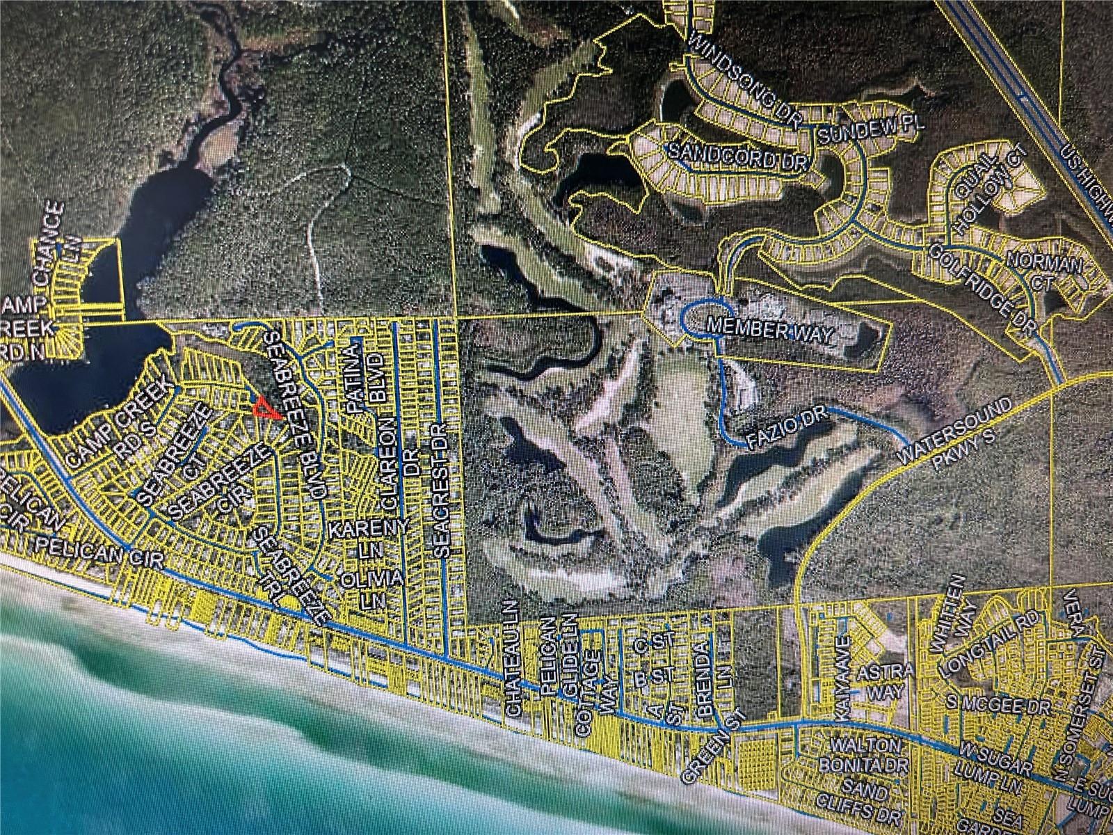 COVE CREEK LN, INLET BEACH, FL, 32413