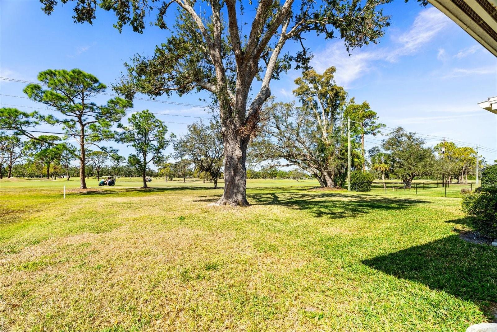 617 WHITFIELD AVE, SARASOTA, FL, 34243