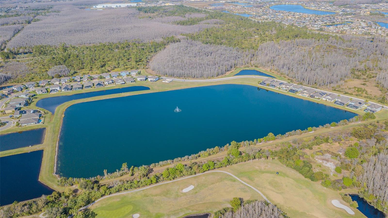 18304 ROSEATE DR, LUTZ, FL, 33558