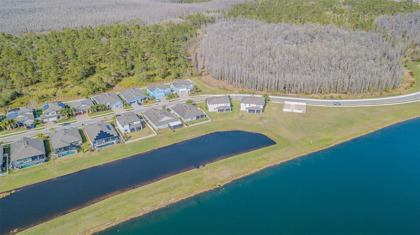 18304 ROSEATE DR, LUTZ, FL, 33558