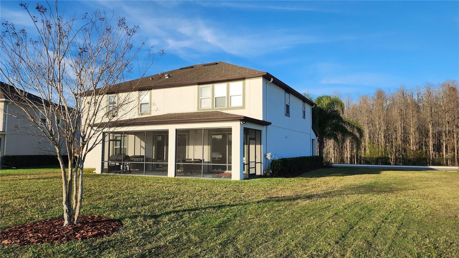 18304 ROSEATE DR, LUTZ, FL, 33558