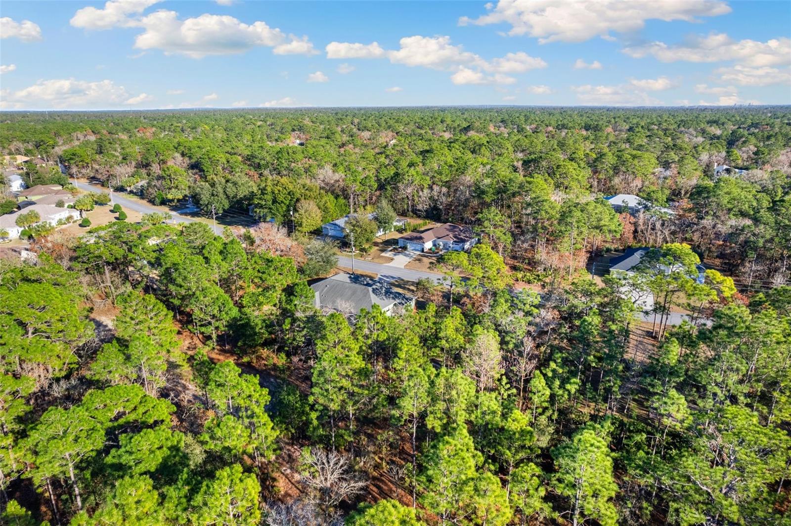 92 DAISY ST, HOMOSASSA, FL, 34446