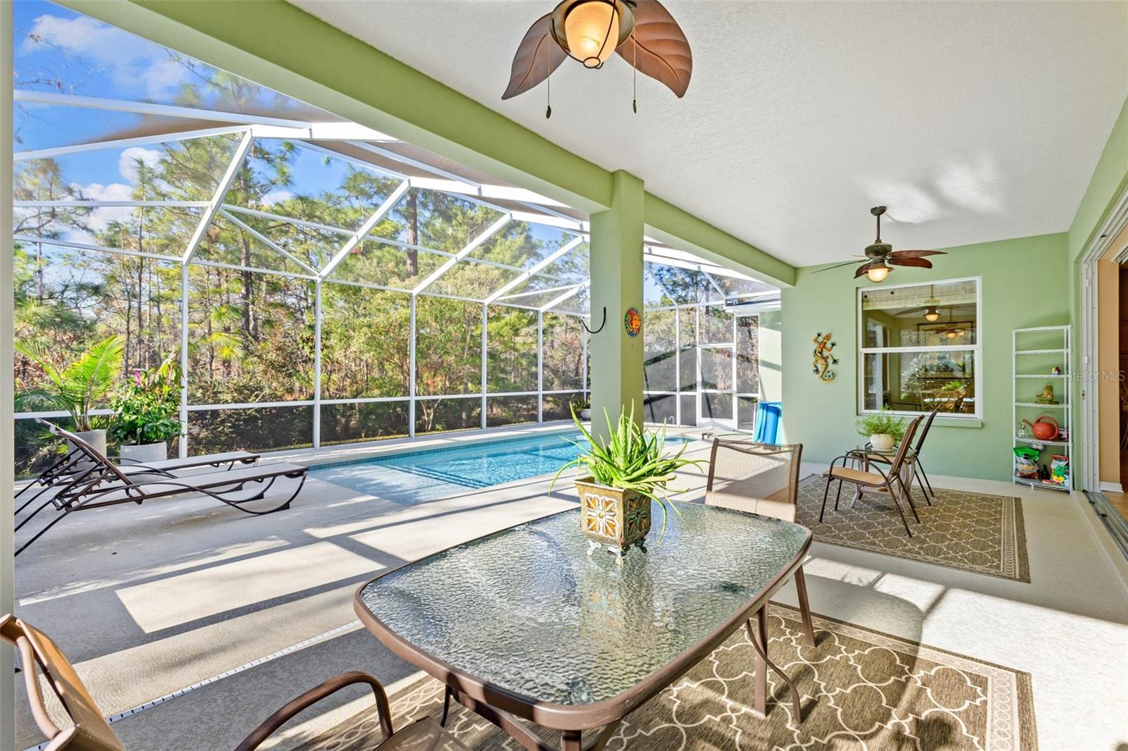 92 DAISY ST, HOMOSASSA, FL, 34446