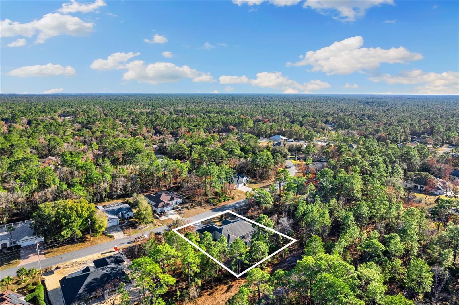 92 DAISY ST, HOMOSASSA, FL, 34446
