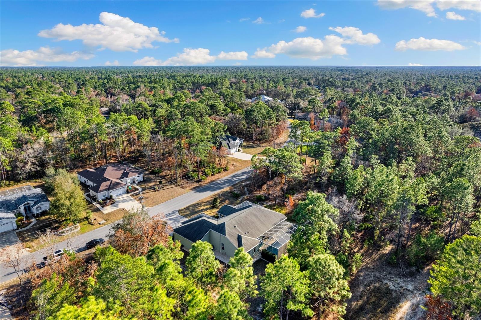 92 DAISY ST, HOMOSASSA, FL, 34446