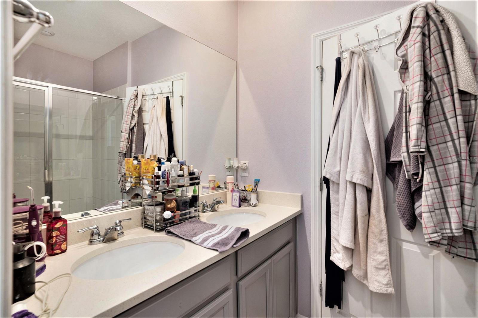 1106 ROSE BLOSSOM CT, TAMPA, FL, 33613