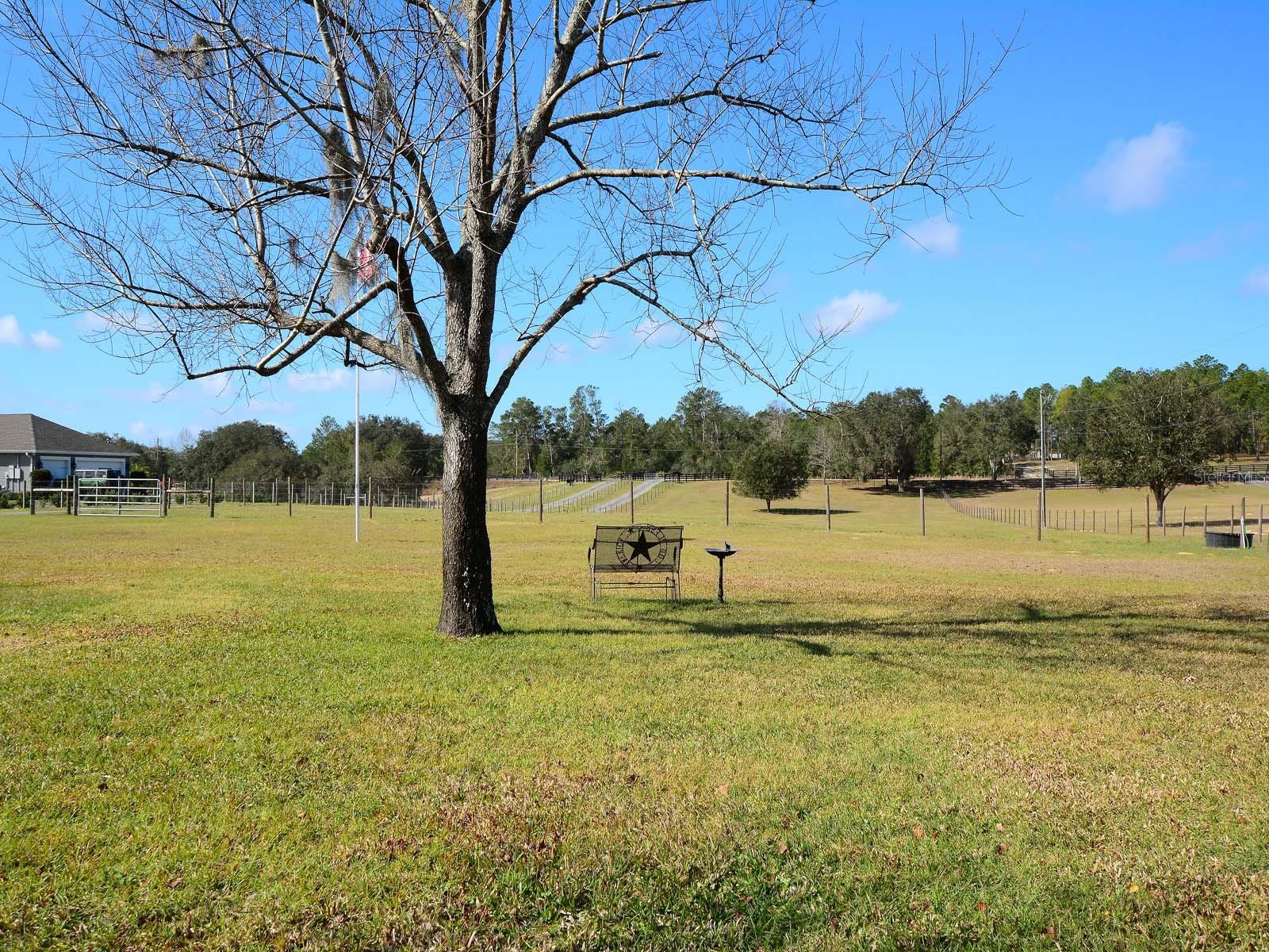 37146 CALHOUN RD, EUSTIS, FL, 32736